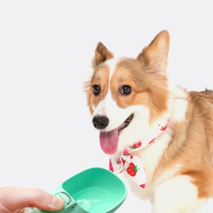 Botella Portátil de Agua para Perros y Gatos – Antifugas y Fácil de Usar en Paseos y Viajes